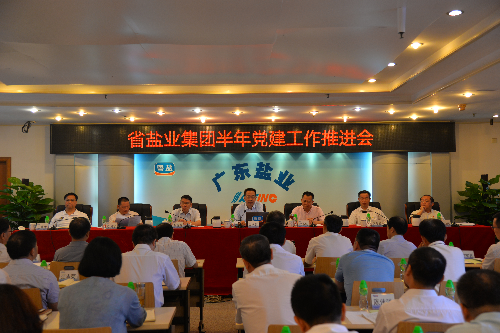 2019半年会党建推进.JPG