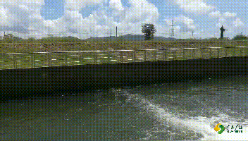 谷饶污水处理厂出水效果动态图.gif