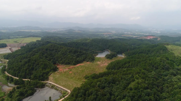 修复后的尾矿库.jpg 图片